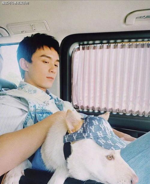 情感爆料娱乐视频,娱乐视频中的喜怒哀乐瞬间  第1张