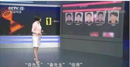 文轩被抓爆料视频,揭秘背后真相与网络热议  第3张